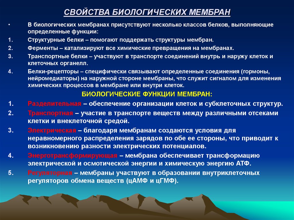 Свойства мембраны. Основные функции биологических мембран. Свойства биологических мембран. Свойства мембраны клетки биохимия. Структура и функции биомембран.