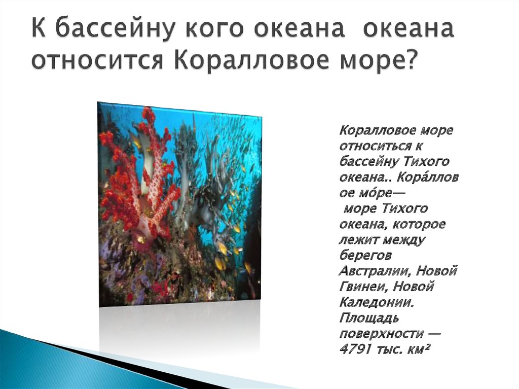 Аккорды я мечтала о морях и кораллах. Коралловое море презентация. Я мечтала о морях текст.