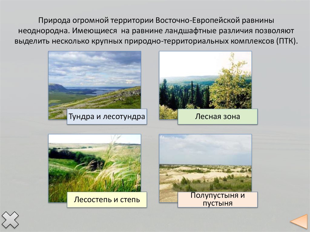 Различие восточно европейской равнины. Природно-территориальный комплекс Восточно-европейской равнины. Природные комплексы равнины. Природные комплексы Восточно европейской равнины. Восточно европейская равнина 8 класс.