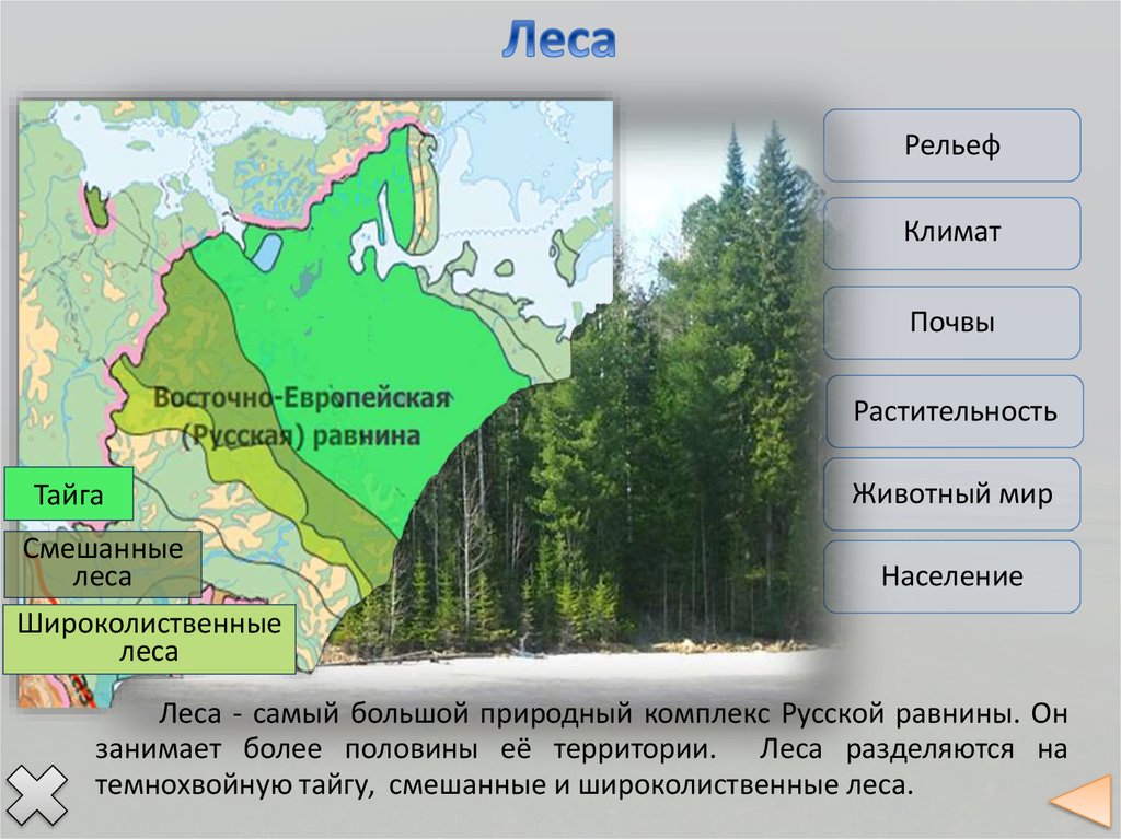 Крупные природные районы россии 8 класс