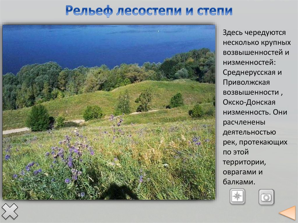 Рельеф восточно европейской равнины. Природно-территориальный комплекс Восточно-европейской равнины. Почвы среднерусской возвышенности. Растительность Приволжской возвышенности.