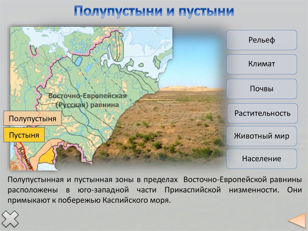 Сравнение западно сибирской и восточно европейской равнины