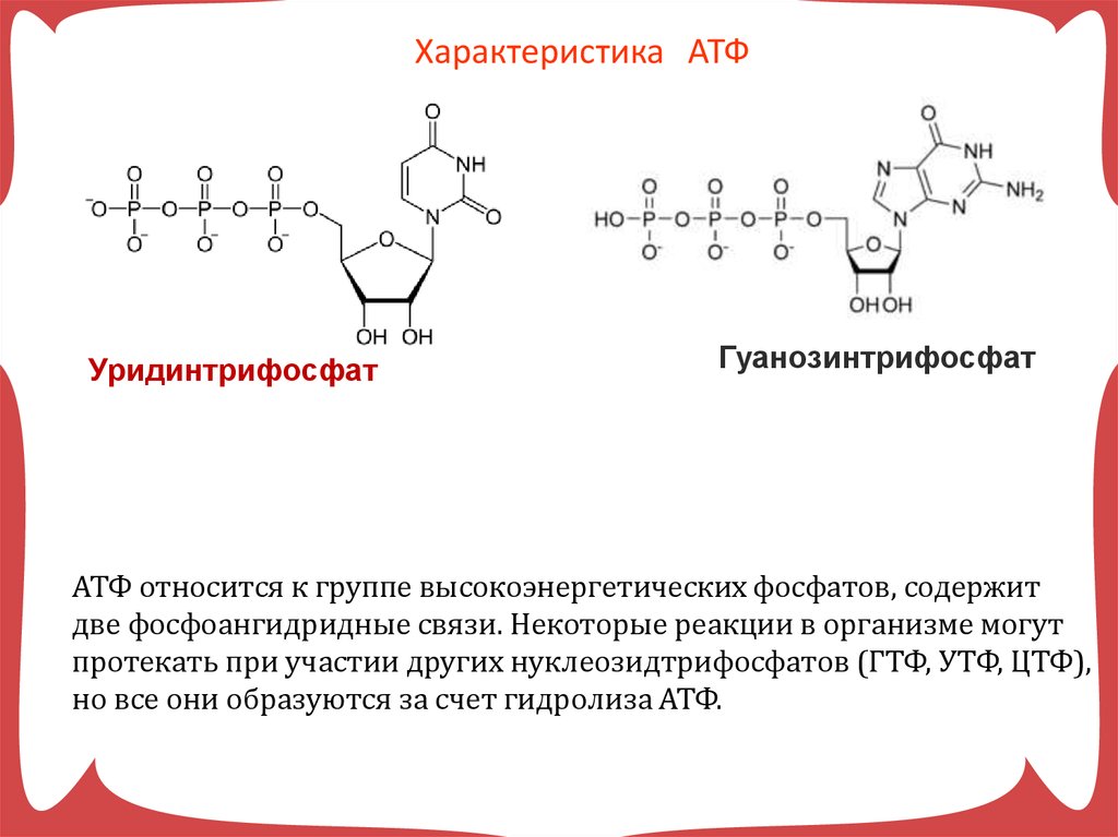 Атф структурная