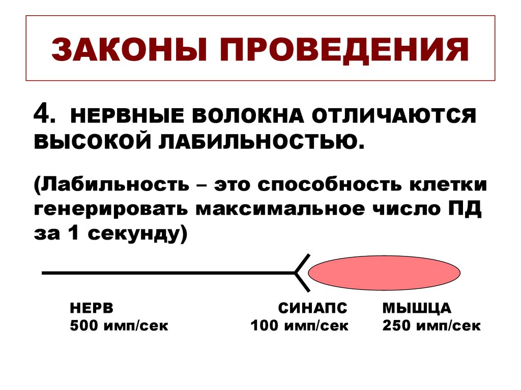 Законы проведения. Закон физиологической целостности нервного волокна. Закон анатомической и функциональной целостности нервного волокна. Лабильность нервного волокна. Закон анатомической и физиологической целостности нерва.