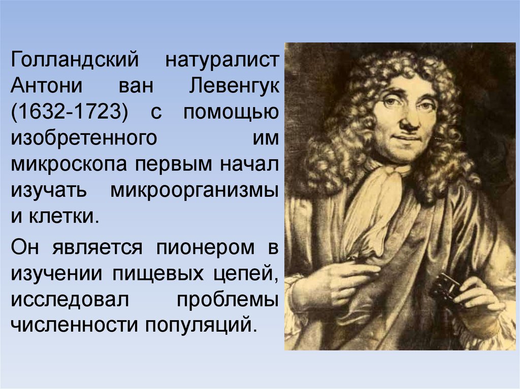 Нидерландский натуралист. Антони Ван Левенгук (1632-1723). Голландский натуралист Антони Ван Левенгук. Антони Ван Ле́венгук (1632—1723 ). Антони Ван Левенгук исследования.