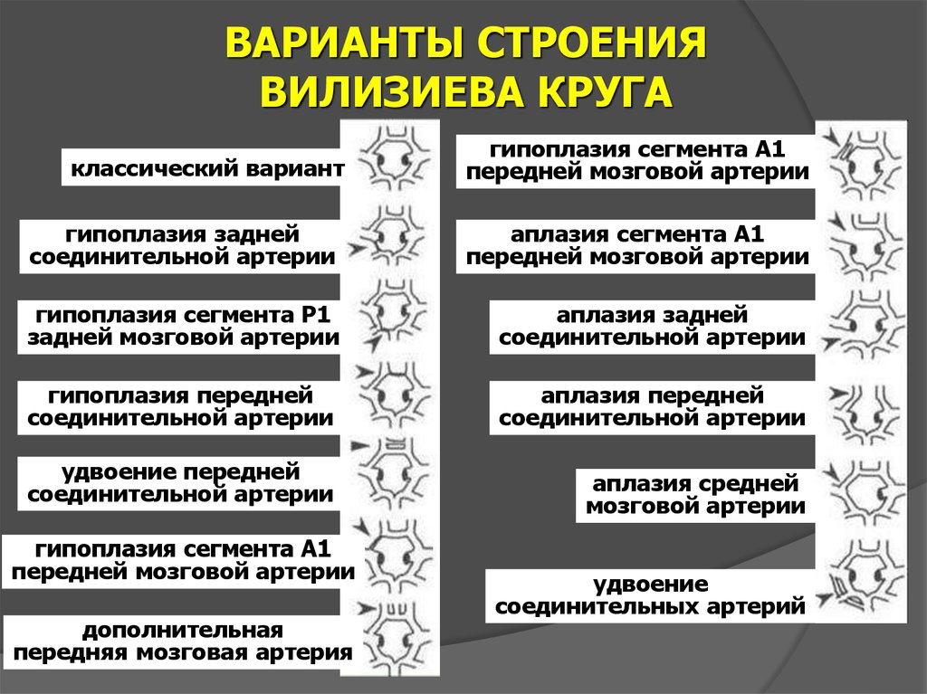 А1 сегменту правой передней мозговой артерии