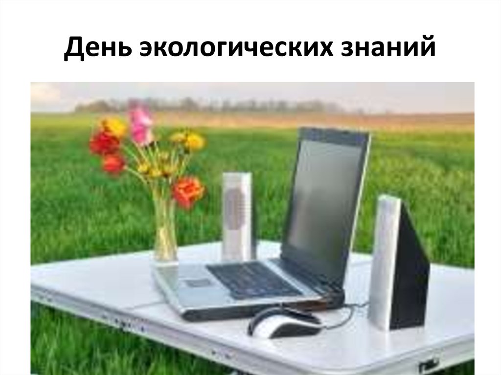 Стол для ноутбука. Фото ноутбука на столе. Ноутбук на природе. Laptop nature.