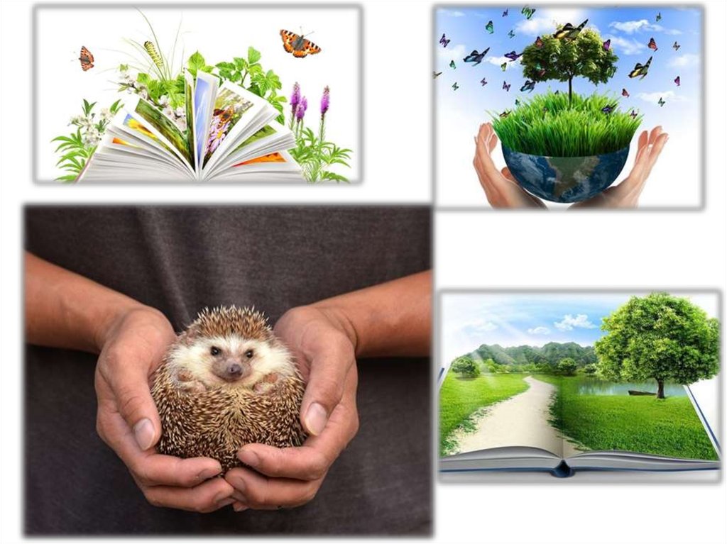15 апреля экологических знаний. Всемирный день экологических знаний. День экологичнскихнаний. 15 Апреля день экологических знаний. День экологических знаний картинки.