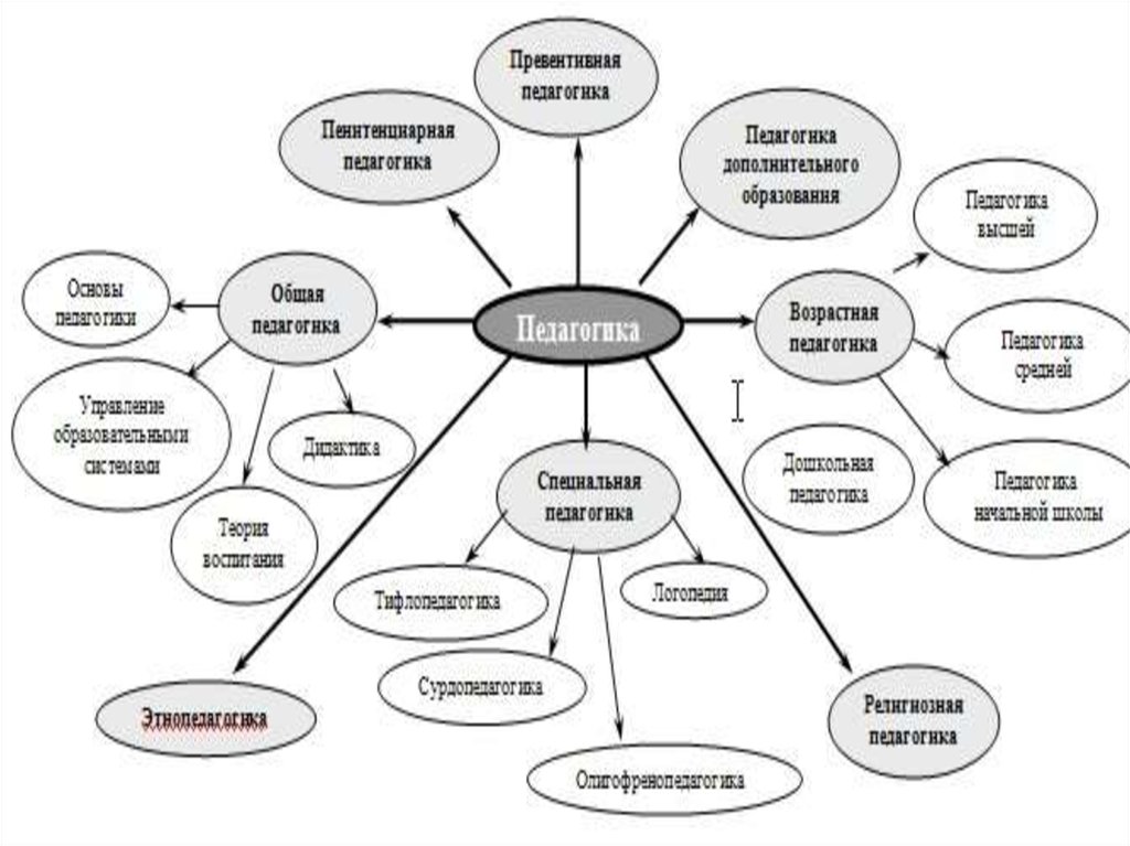 Изобразите связи между категориями педагогики в виде схемы поясните схему