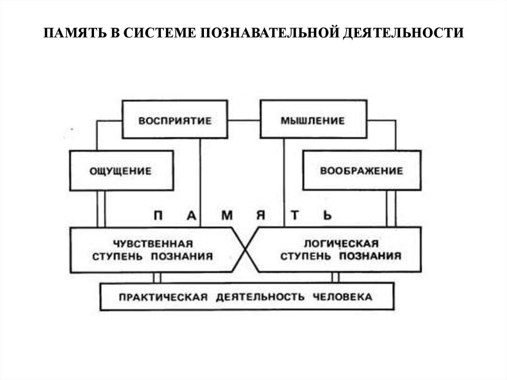 Блок схема память психология