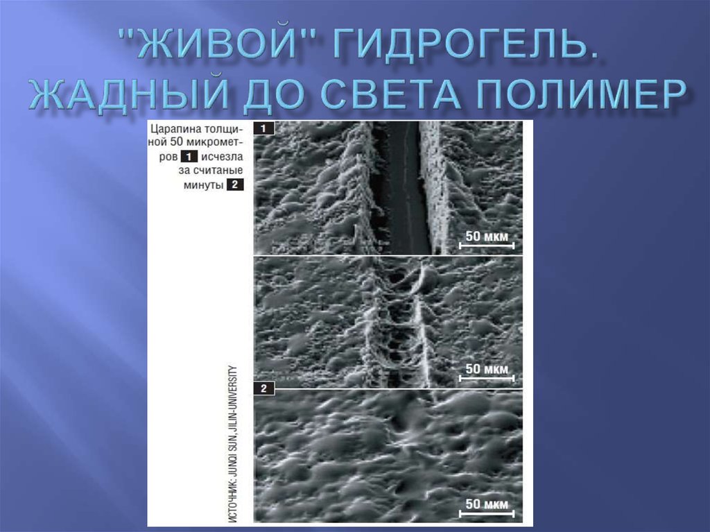 "Живой" гидрогель. Жадный до света полимер
