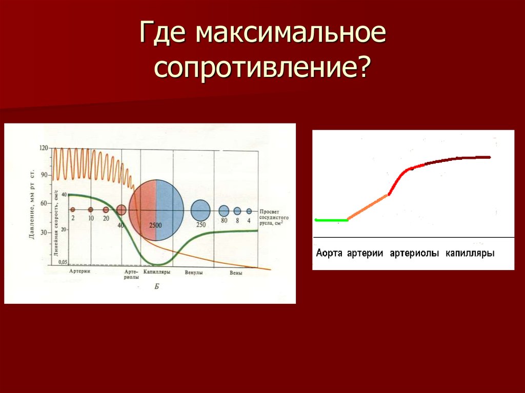 Максимальное сопротивление. Сопротивление сосудистого русла это. Изменение сопротивления в различных отделах сосудистого русла. График изменения сопротивления крови.