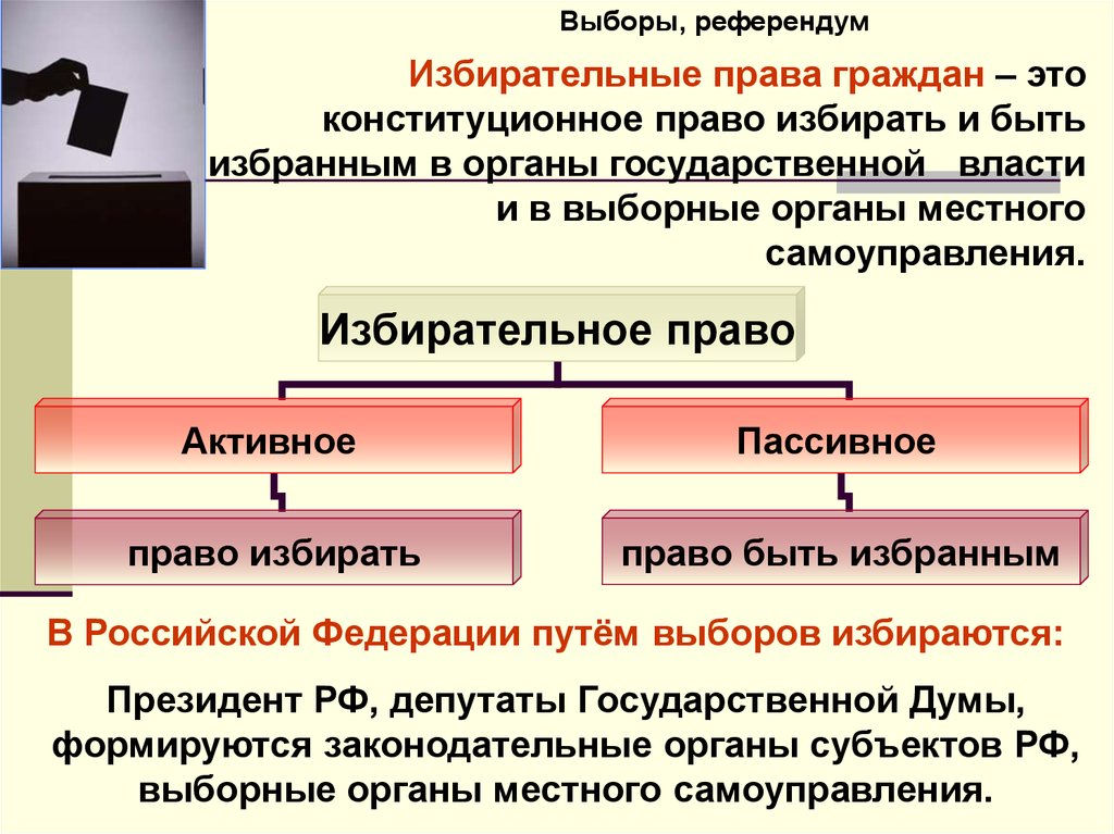 Институты выборов и референдума