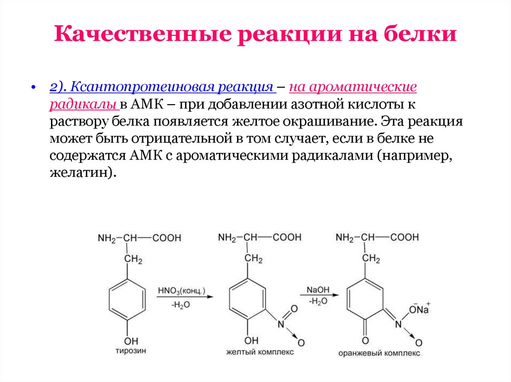 Белки характерные реакции. Нитрование фенилаланина. Ксантопротеиновая реакция на тирозин. Качественная реакция на белок ксантопротеиновая. Реакция нитрования фенилаланина.