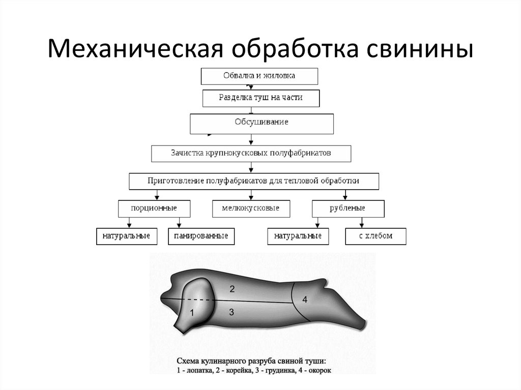 Продолжите технологическую схему обработки молочных поросят для использования в целом виде до 4 кг