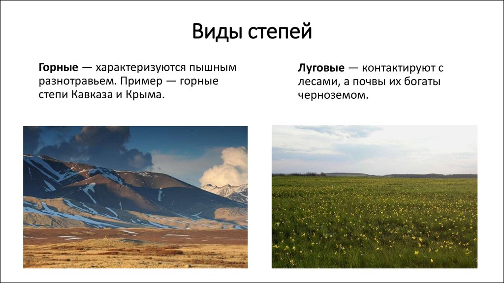 Какие природные зоны есть в степи. Типы степей России. Общий вид степи. Описать степь. Виды степей горные.