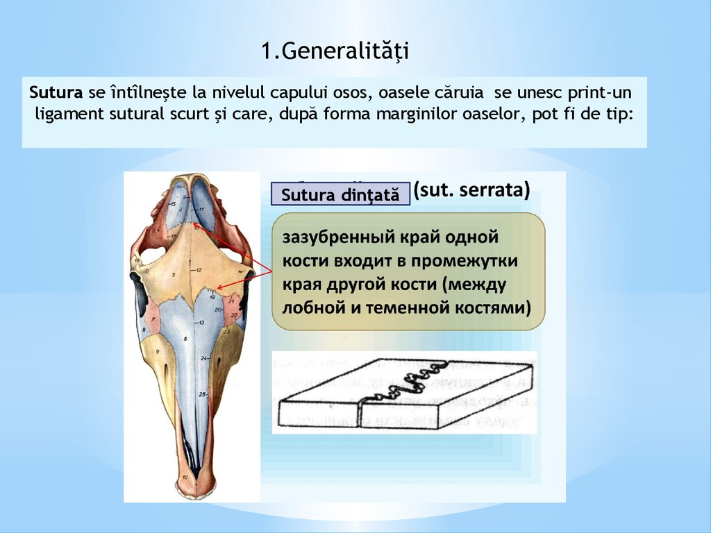 artroza semnele sale și tratamentul articulația vătămării piciorului