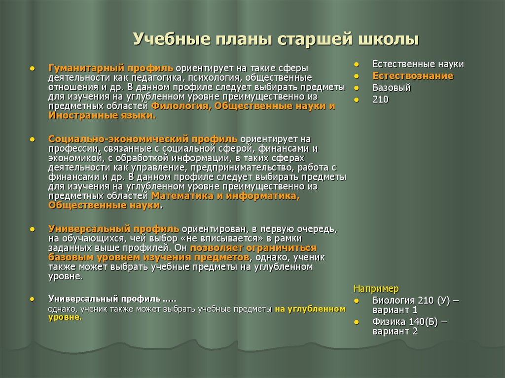 Предметы на углубленном уровне. Планы старшей школы. Общественно научные предметы учебного плана. Естественно-научный профиль ориентирован на. Сколько предметов на углубленном уровне в универсальном профиле.