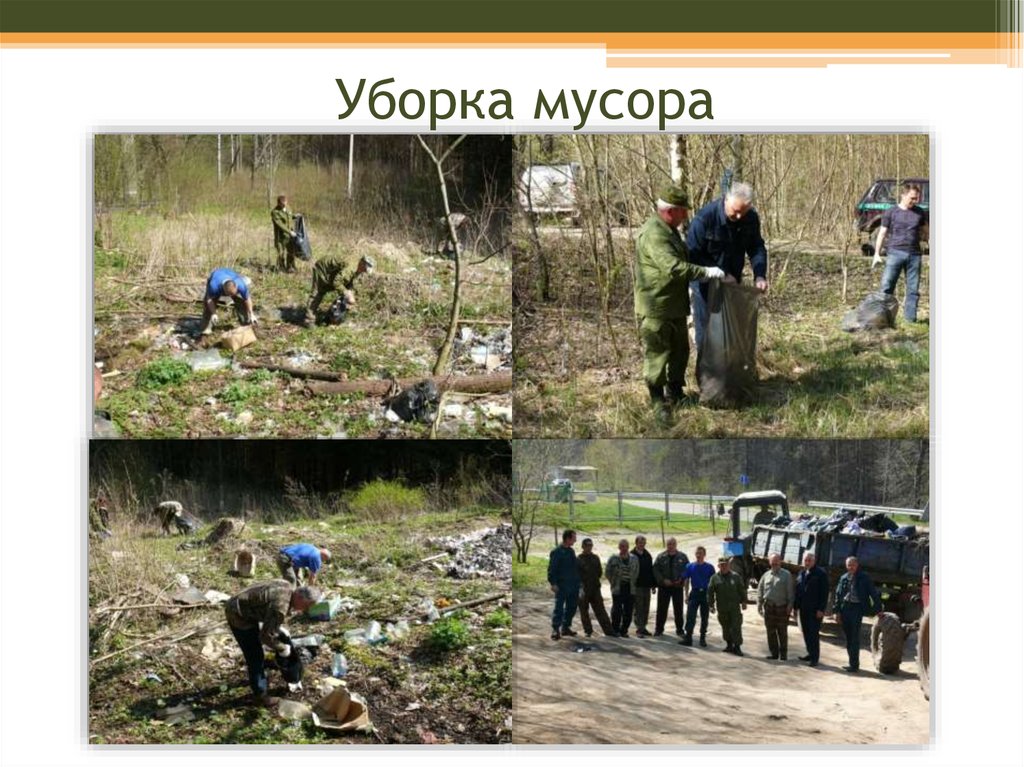 Проект по уборке мусора