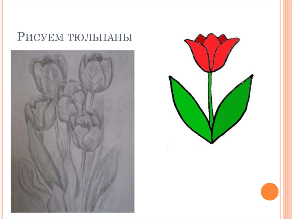 Рисунок тюльпана для детей 2 класса