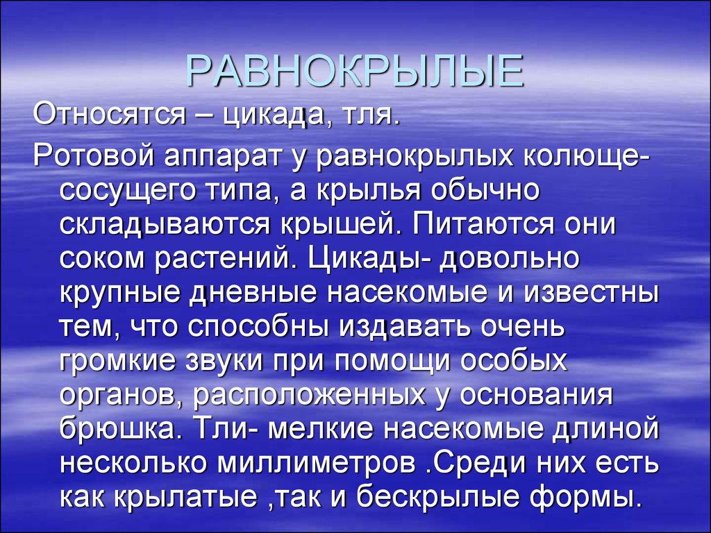 Равнокрылые насекомые презентация