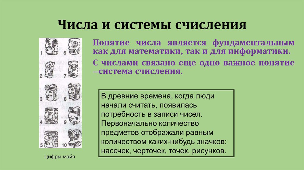 Проект на тему системы счисления в прошлом и настоящем 5 класс