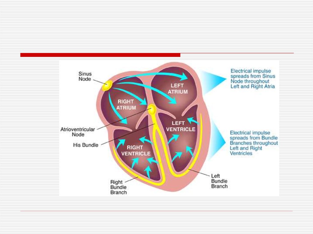 cardiac-arrhythmias-online-presentation