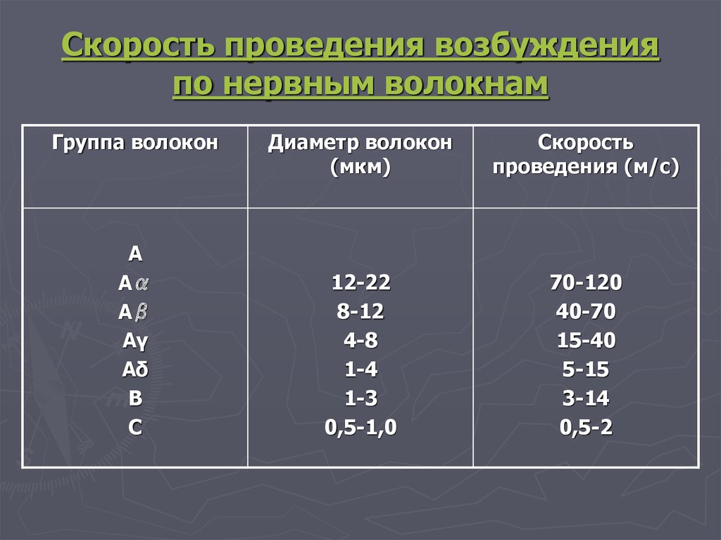 C скорость выполнения. Скорость проведения возбуждения. Скорость проведения возбуждения по нервным волокнам группы с. Скорость проведения по волокнам группы в. Проведение возбуждения по нервным волокнам.