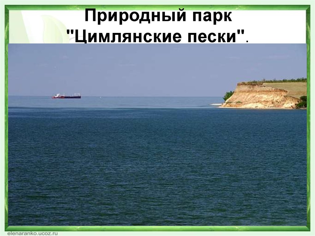 Южно цимлянское. Цимлянские Пески природный парк. Природный парк Цимлянские Пески Волгоградская область. Цимлянский заказник.