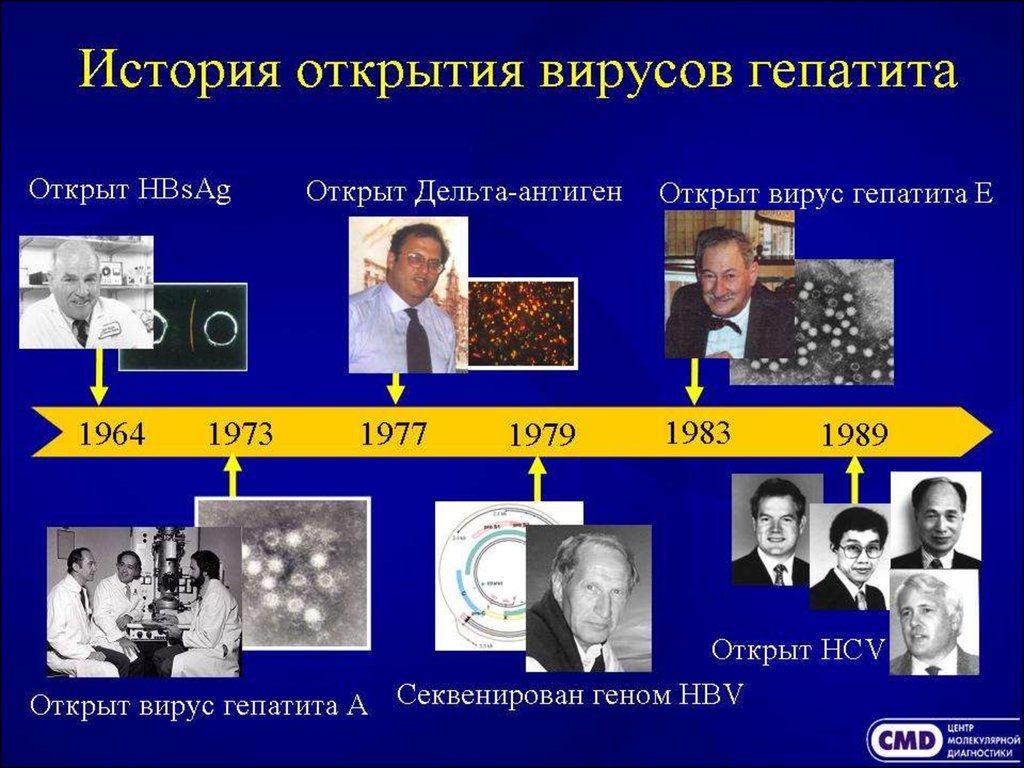 История вирусных гепатитов