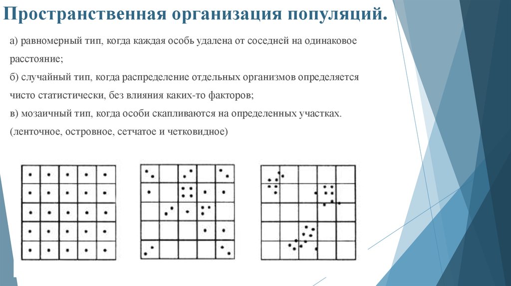 Пространство распределений. Пространственная структура популяции. Типы пространственной структуры популяций. Пространственное размещение особей популяции. Типы пространственного распределения.