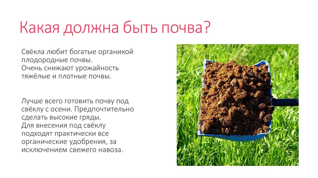 Какая почва менее плодородна. Какой должна быть почва. "Здоровая почва" должна:. Богатая органикой почва. Плодородные и неплодородные почвы.