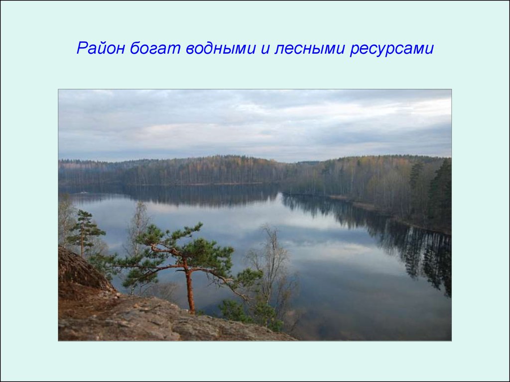 Водные и лесные ресурсы. Наш край богат водными ресурсами. Водные и Лесные ресурсы Канады. Районы богатые водными ресурсами. Водные богатства Северо Запада.