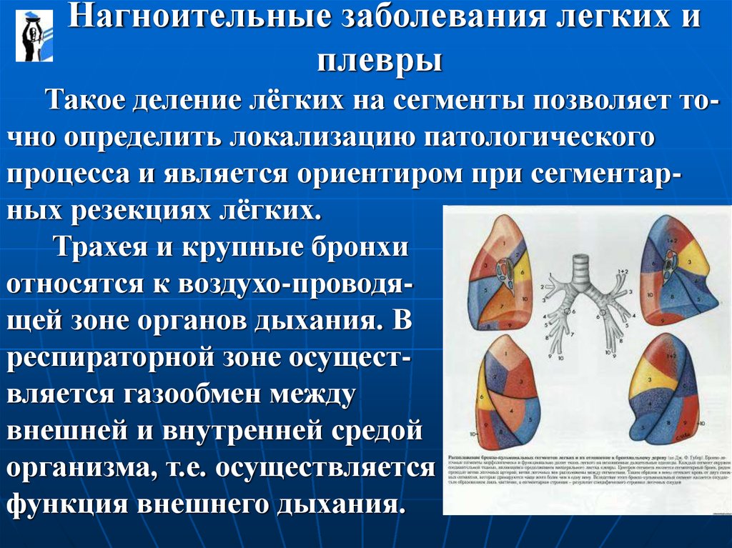 Гнойные заболевания легких презентация