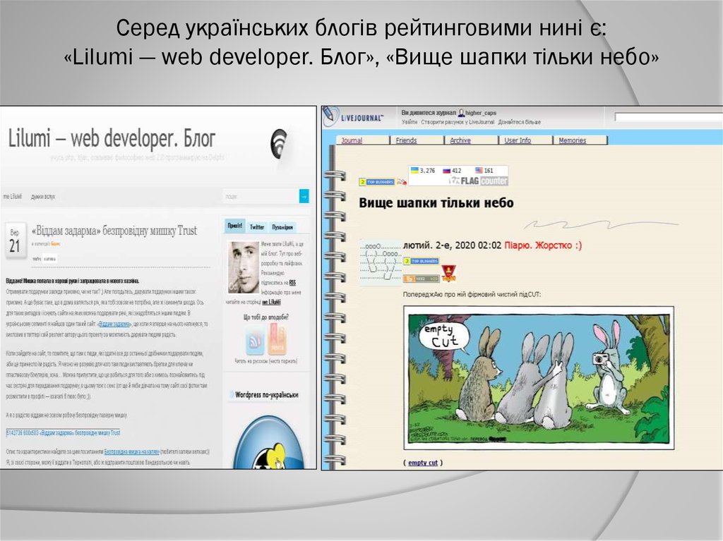 Серед українських блогів рейтинговими нині є: «Lilumi — web developer. Блог», «Вище шапки тільки небо»