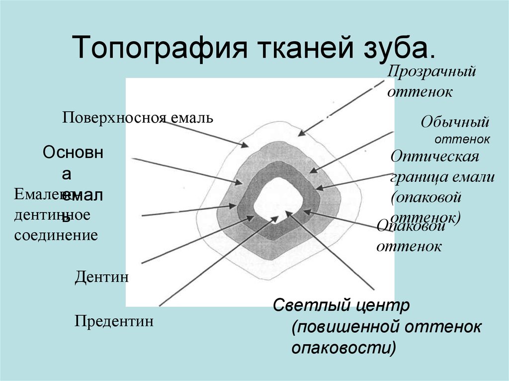 Топография