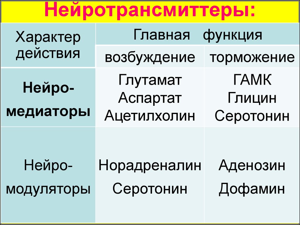 Медиаторы возбуждения