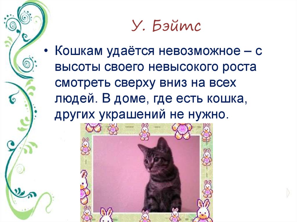 Отзыв день кошек. День кошек история праздника. Всемирный день кошек презентация для детей.