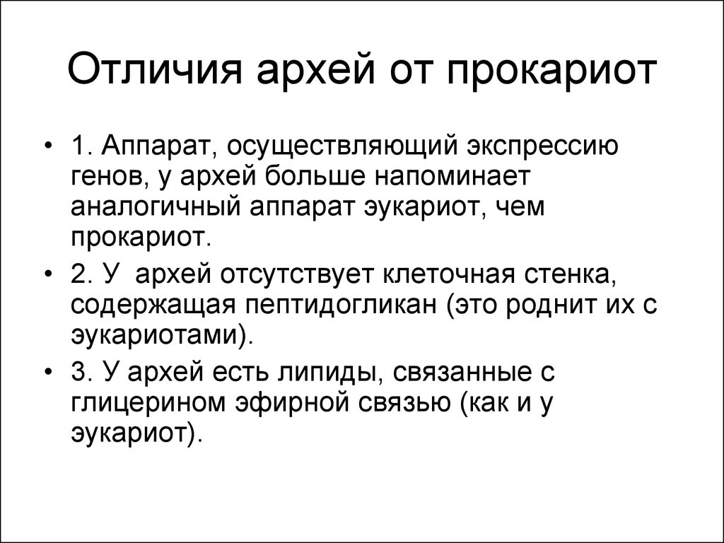 Отличие бактерий. Археи отличие от бактерий. Сравнение Архей бактерий и эукариот. Различия бактерий Архей и эукариот. Отличия Архей от прокариот.