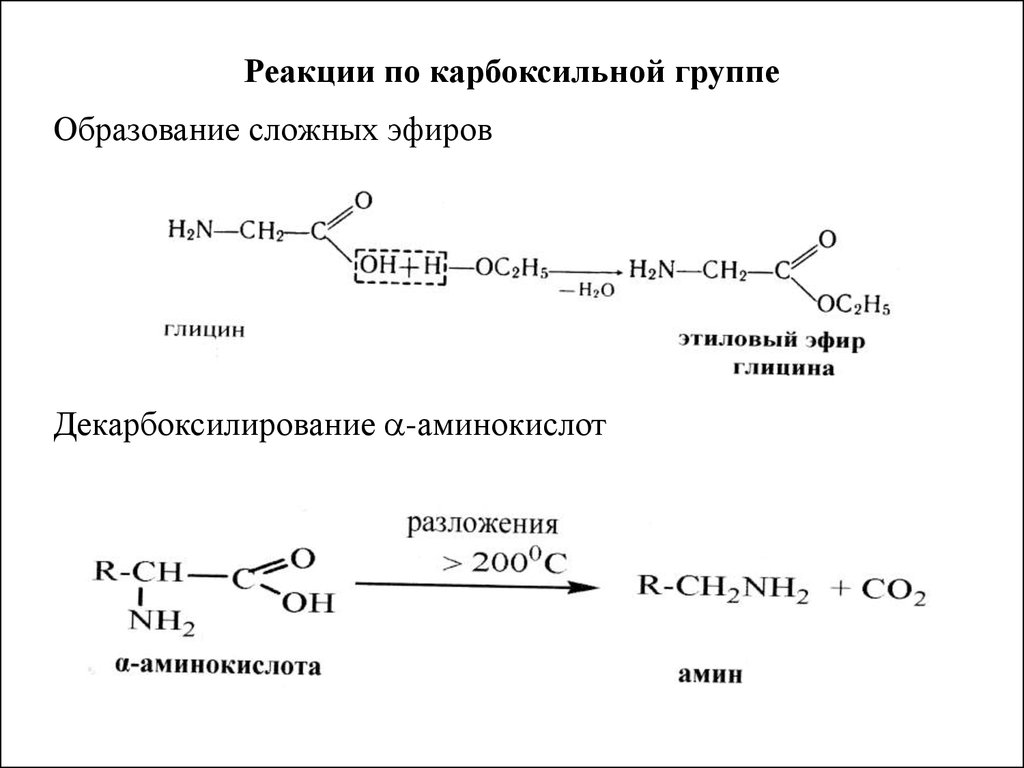 Реакция образования этилового спирта. Реакция образования сложных эфиров аминокислот. Реакции карбоксильной группы аминокислот. Реакция декарбоксилирования сложных эфиров. Реакции протекающие по карбоксильной группе аминокислот.