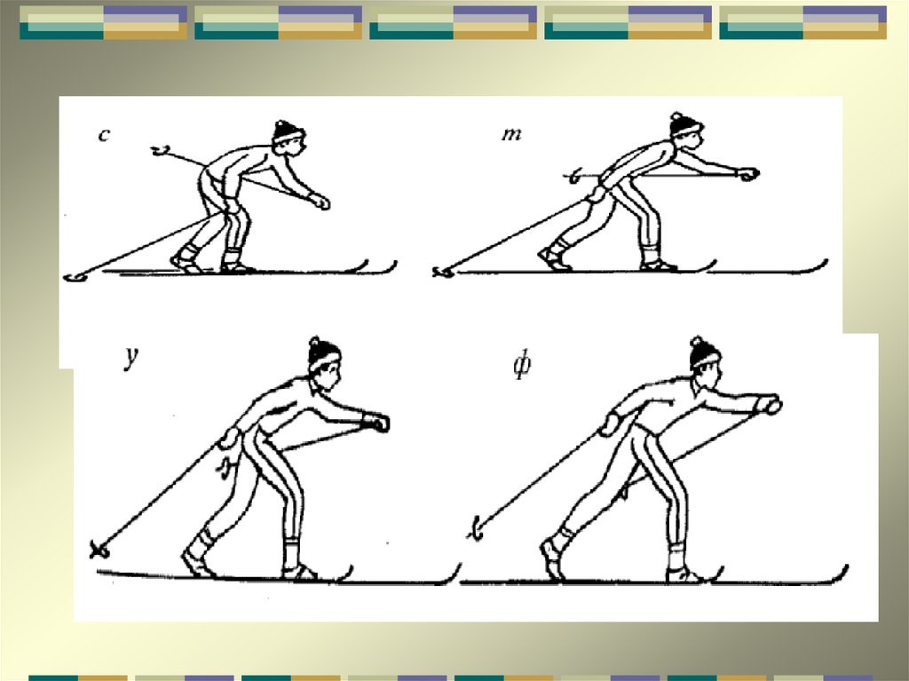 Техника ходов. Попеременный бесшажный ход на лыжах. Классический и коньковый ход. Бесшажный коньковый ход. Техника классического хода.