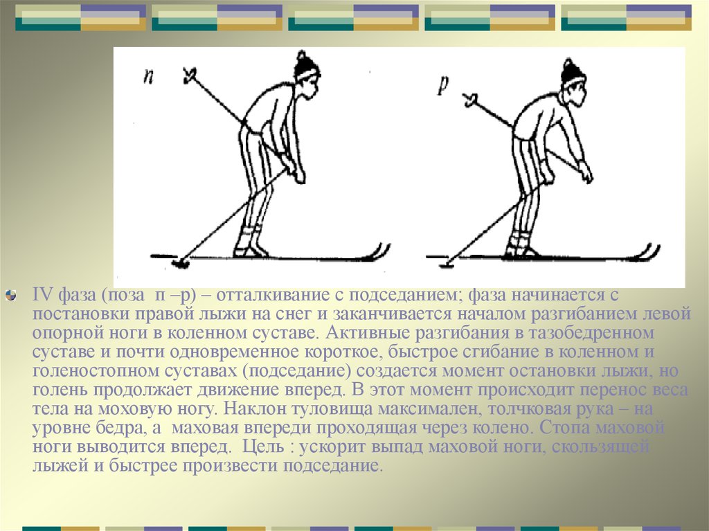 Ход вперед. 3 Фаза - скольжение с подседанием. Подседание на лыжах. Отталкивание на лыжах. Фаза подседание в лыжах.