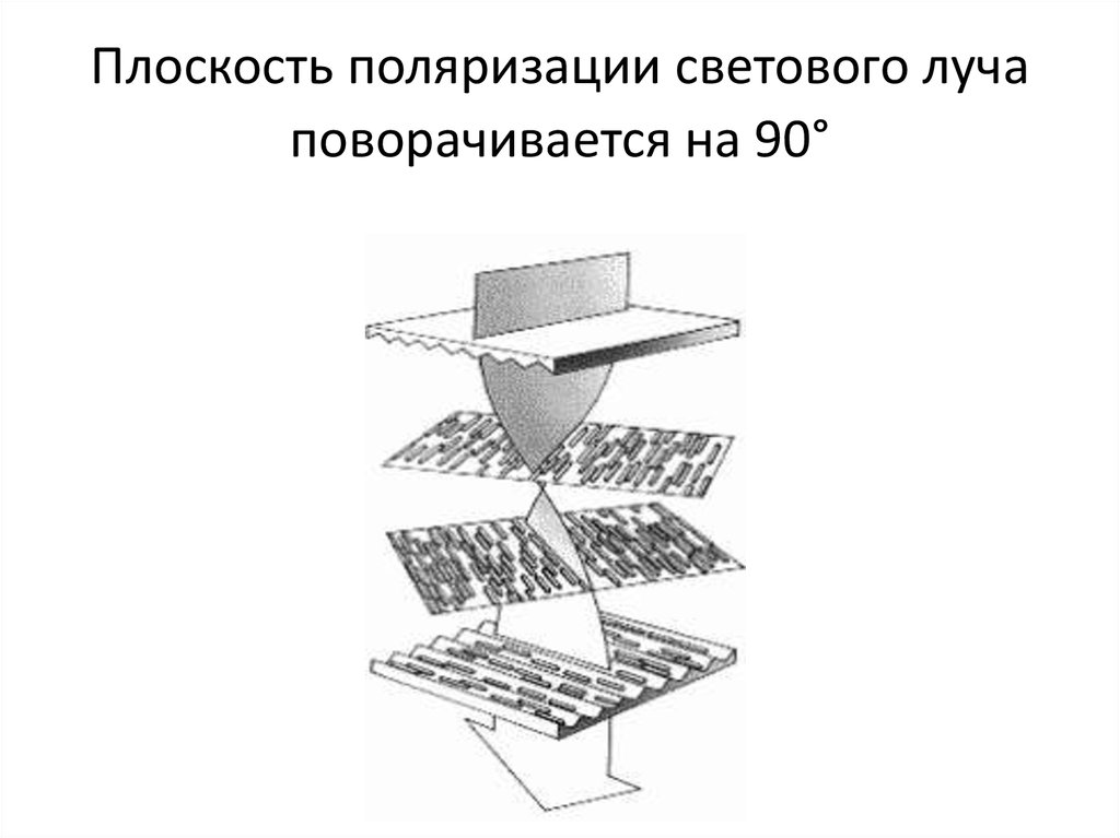 Тест картинка поляризация