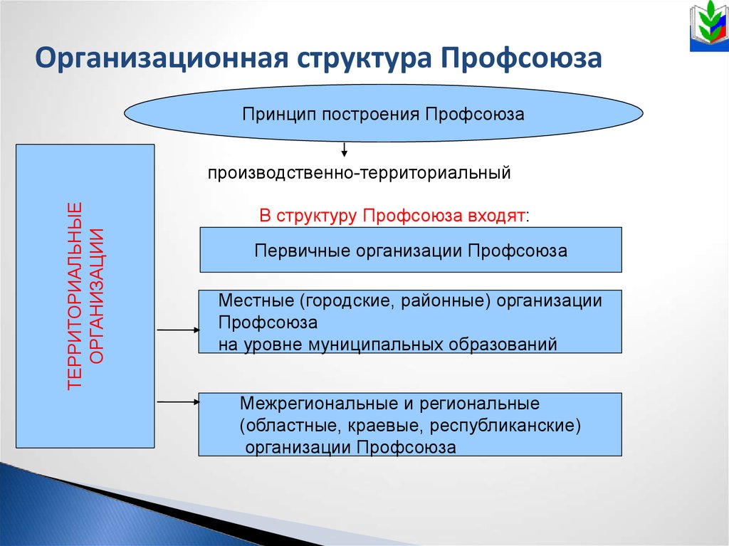 Профсоюзные организации в россии. Структура первичной профсоюзной организации схема. Структура районной профсоюзной организации. Структура профсоюзной организации работников образования. Организационная структура территориальной профсоюзной организации.