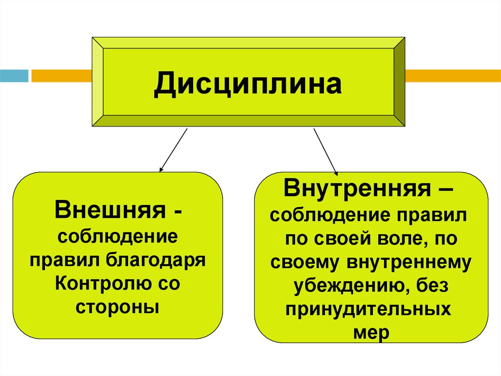 Презентация что такое дисциплина 7 класс обществознание