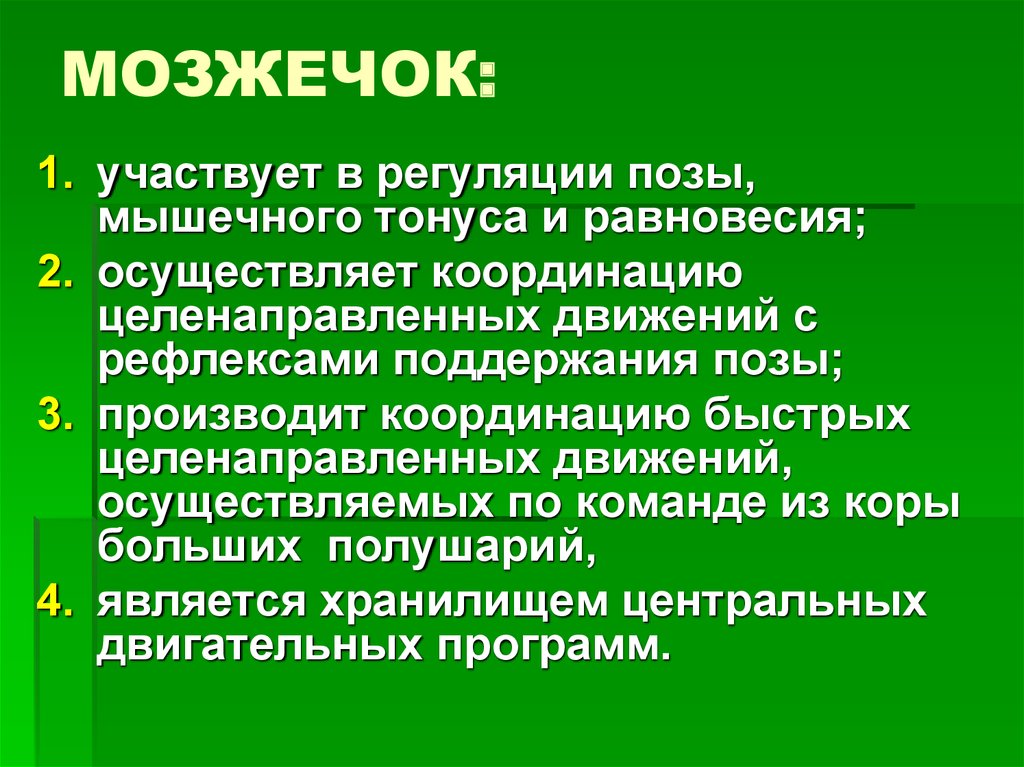 Осуществляют координацию. Регуляция мышечного тонуса мозжечком. Регуляцию равновесия и мышечного тонуса. Центральная регуляция мышечного тонуса. Регуляция тонуса позы и равновесия.