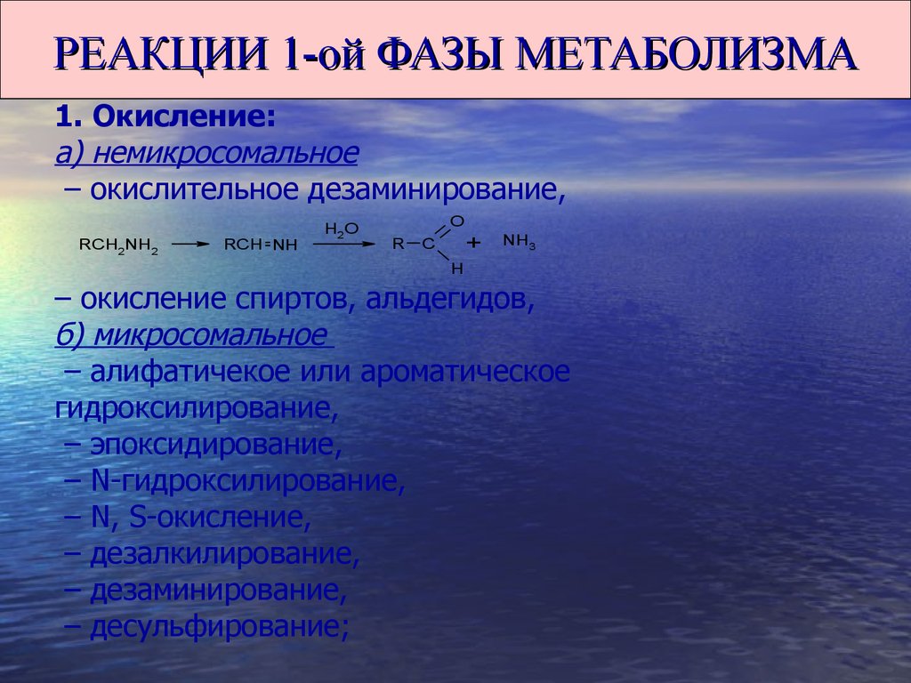 Реакция в 1 день. Реакции 1 фазы биотрансформации. Реакции 2 фазы метаболизма. Реакции первой фазы метаболизма. Реакциям фазы 1.