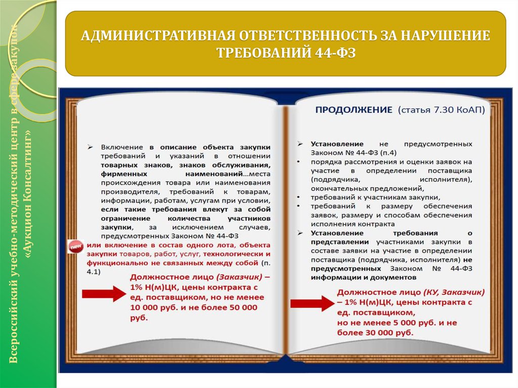 Требование предложение. Нарушение требований ФЗ 44. Административная ответственность закупки 44-ФЗ.