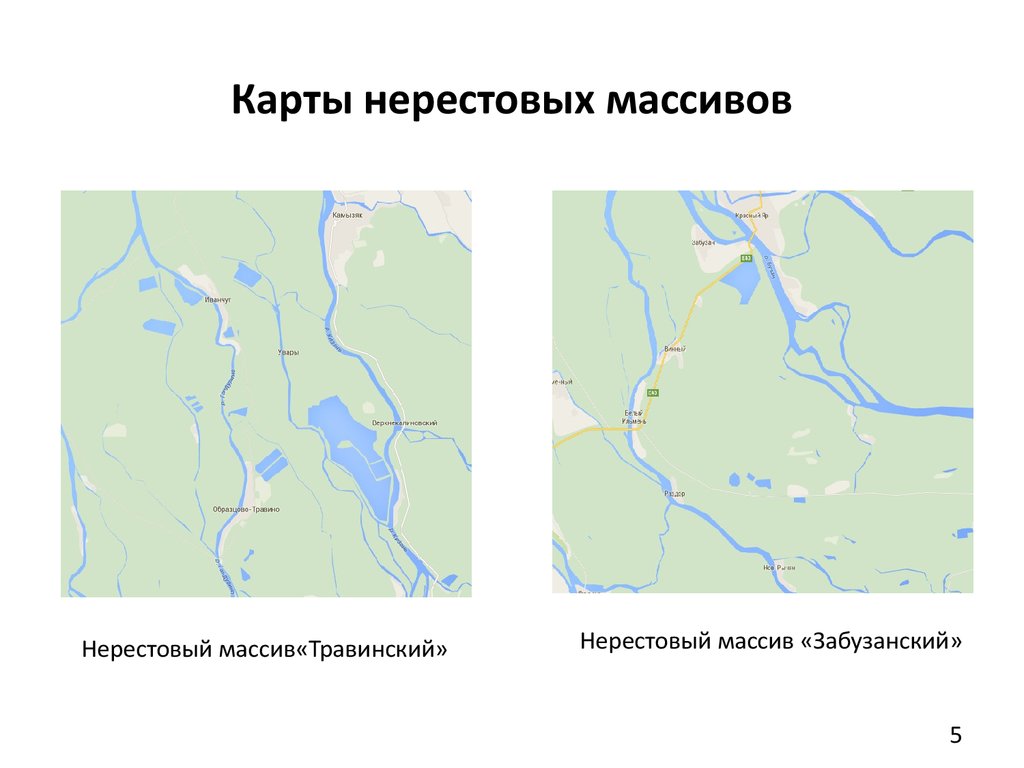 Карта нерестилищ московской области