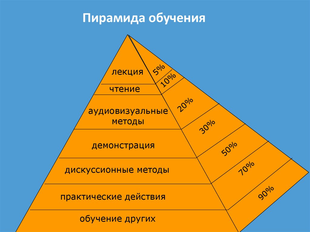 Картинка пирамида обучения